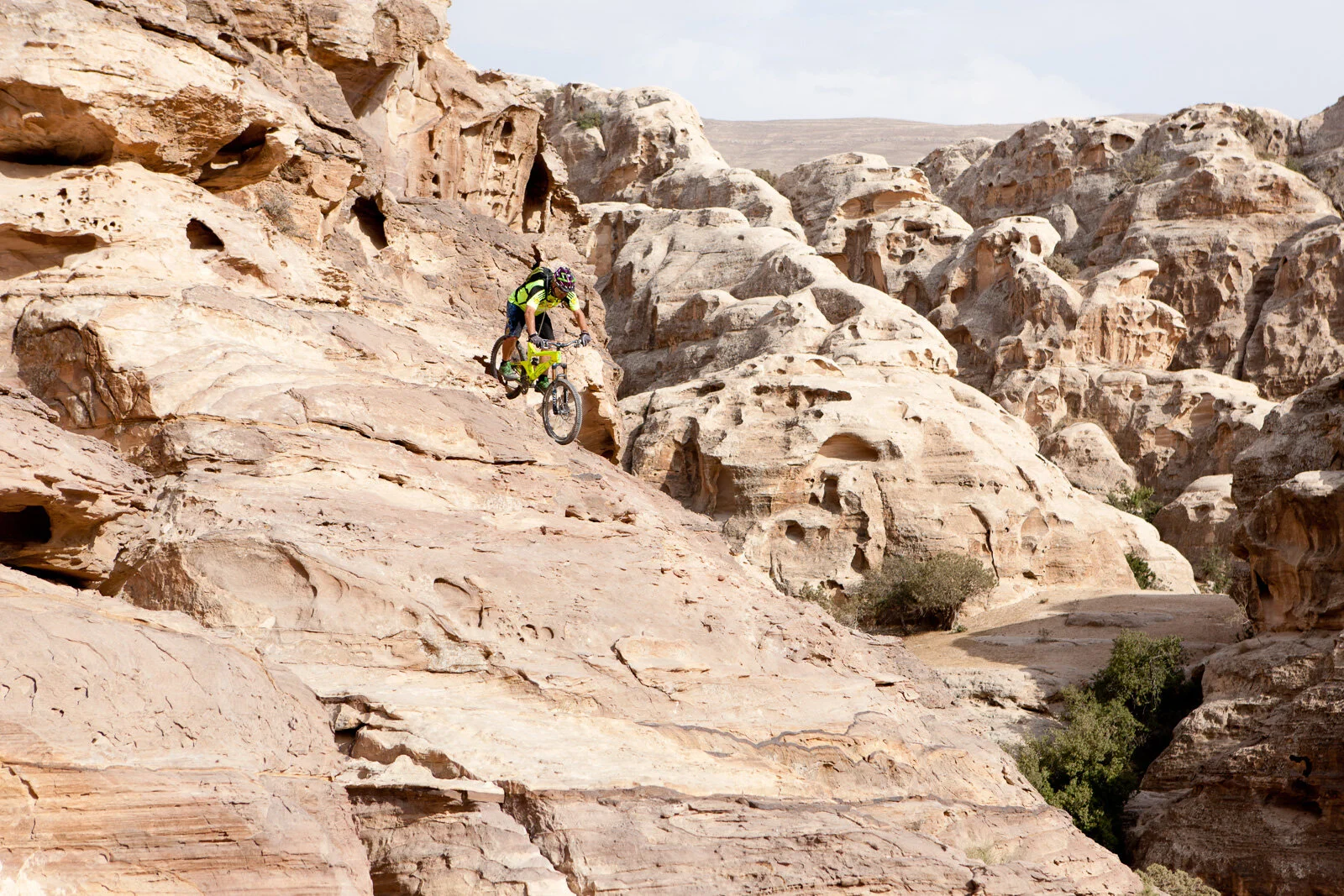 HansRey_LittlePetra_Blotto_1117.jpg