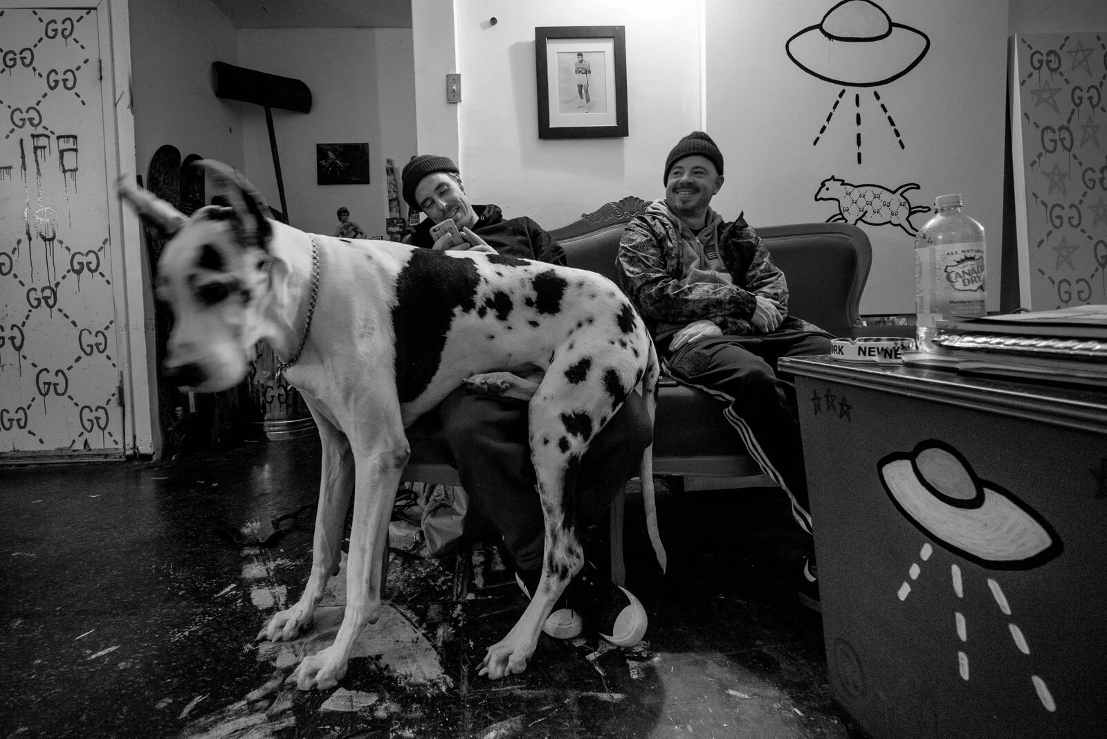 BeauTrevorCraig_TrapHouse2016_Blotto_02688.jpg