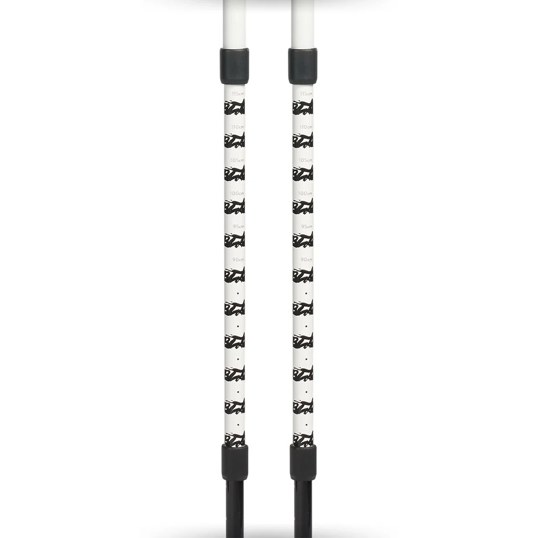 Row3_Picture_2.jpg