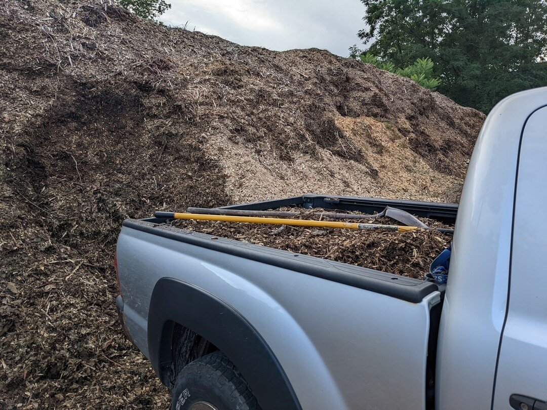 Chips Ahoy...otherwise, known as 'A Day in the Life' - Not every day is  spent picking beautiful calendula blooms or infusing ointments. Somedays you just have to shovel ...errrh...chips. Wood chips.⁠
⁠
This mountain of chips (free!) is provided cour