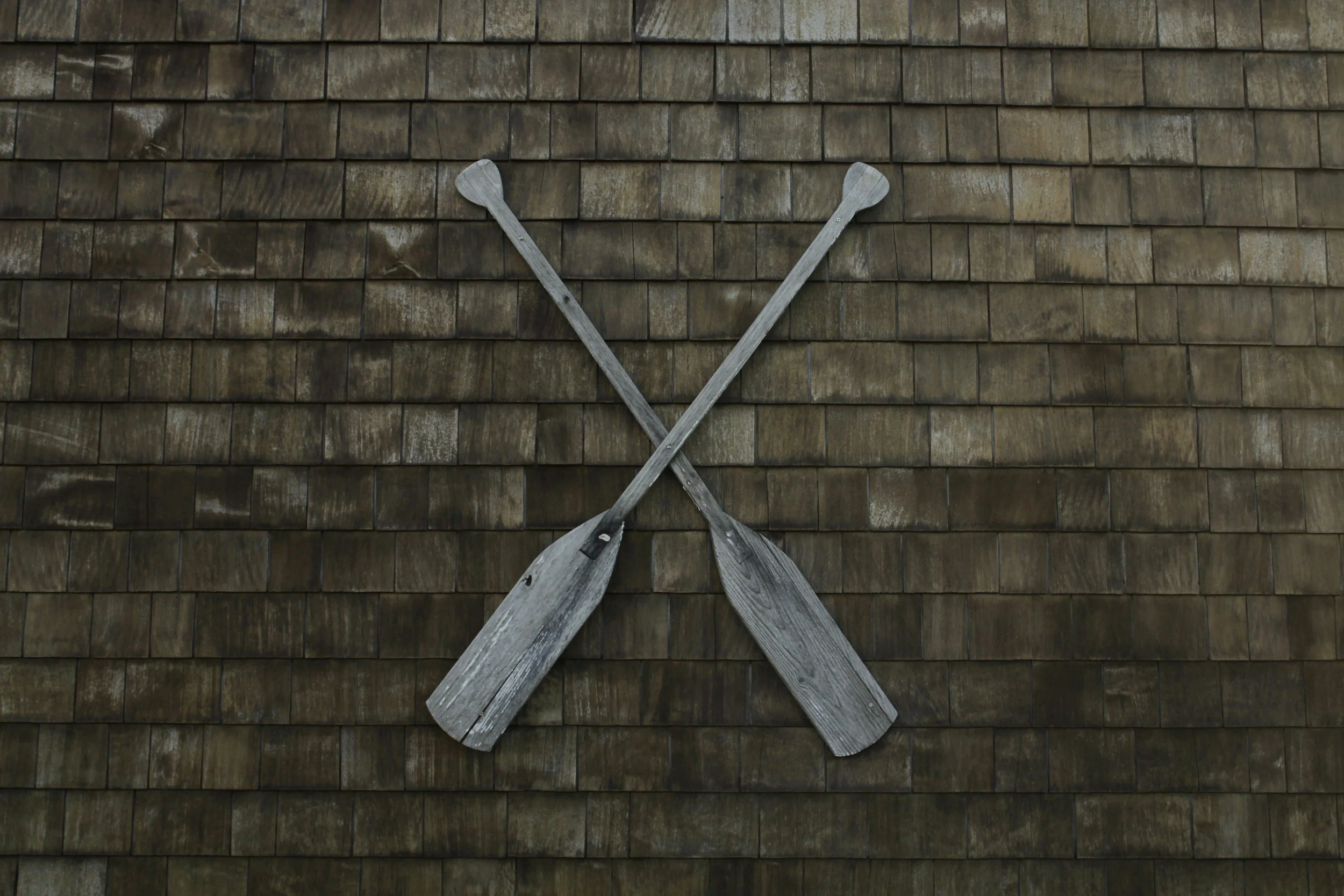 unsplash-image-VcTuZZca3jI.jpg