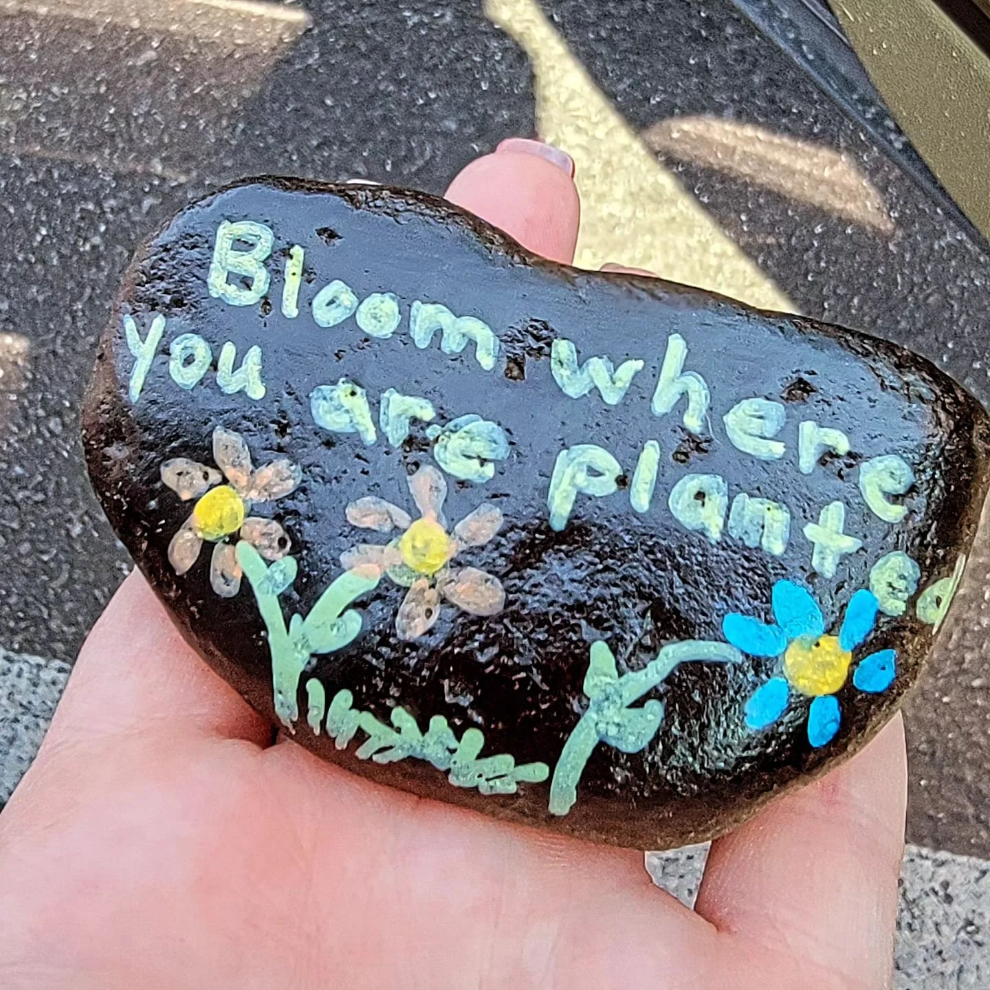 Well this couldn't have been a more perfect find. 

Rock on, Bloomies. Rock on. &hearts;️

#cdarocks