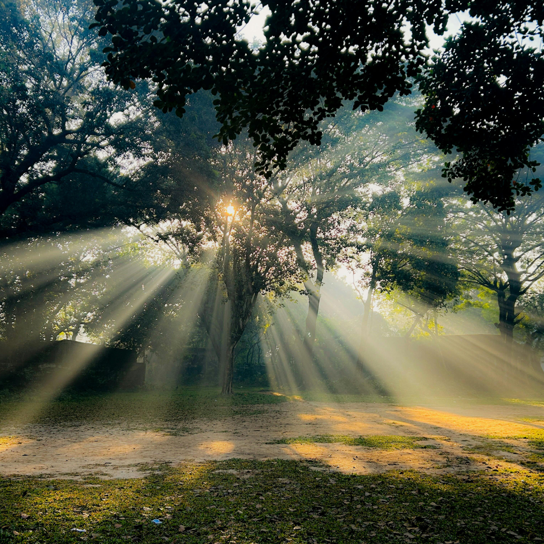 Колекция от безплатни материали за квантово самолечение