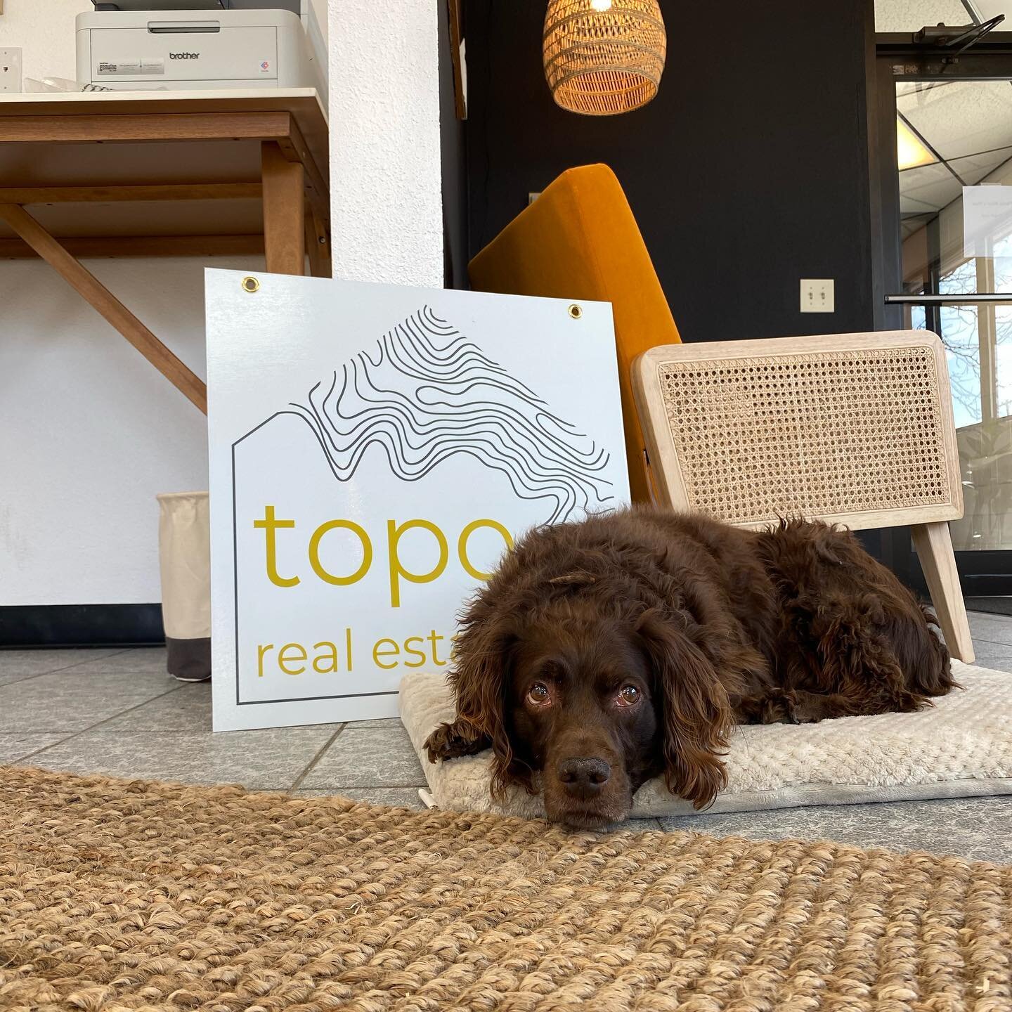 The boss stopped by the office today to make sure everyone was being productive. #toporealestate #missoularealestate #missoularealtor #missoulamontana #makingmissoulahome #montanarealestate