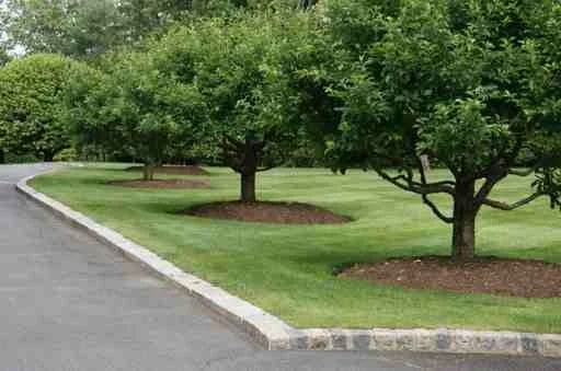 roundhill1_ 17.jpg