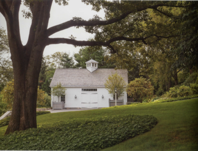 image-2.webp