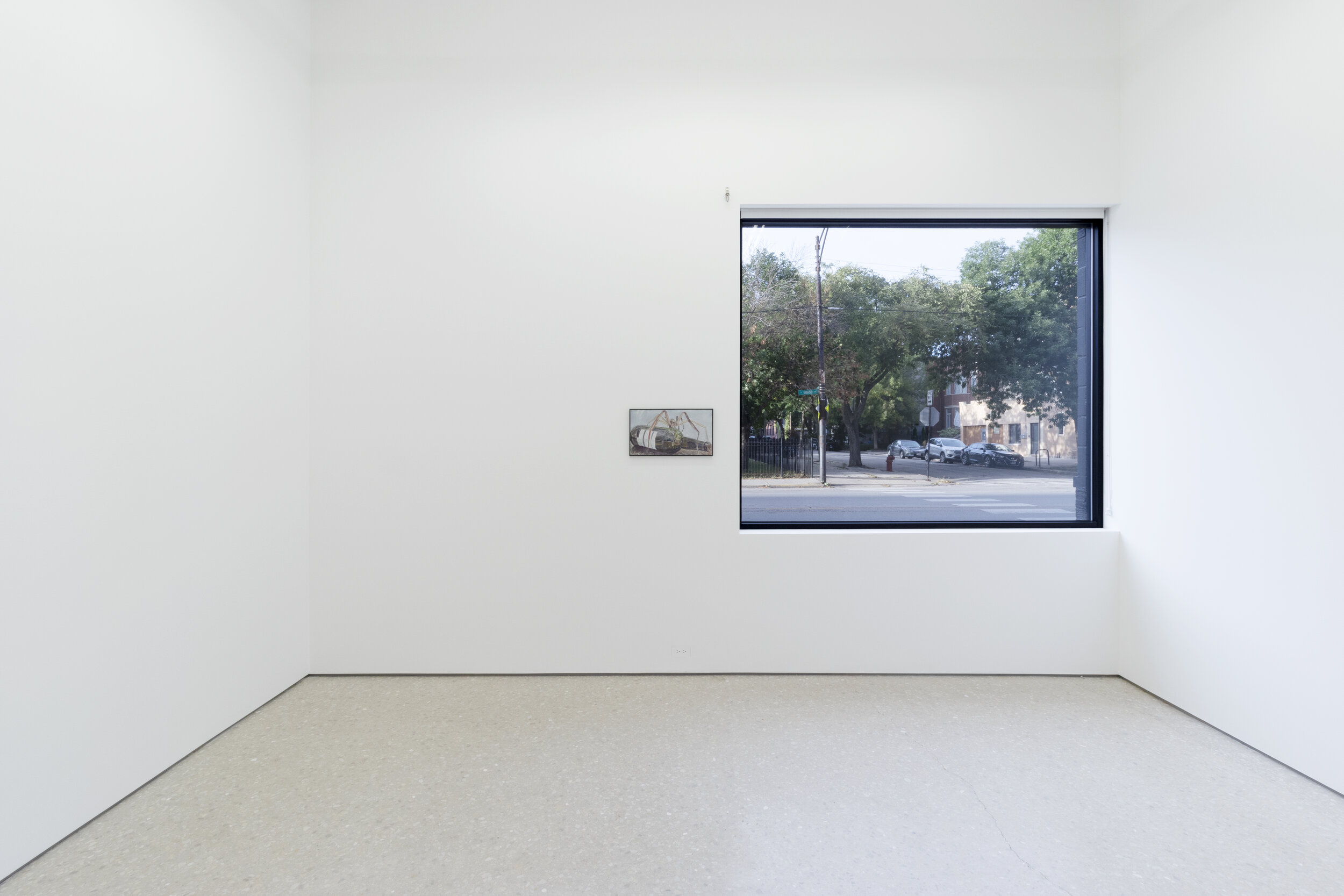 installation view