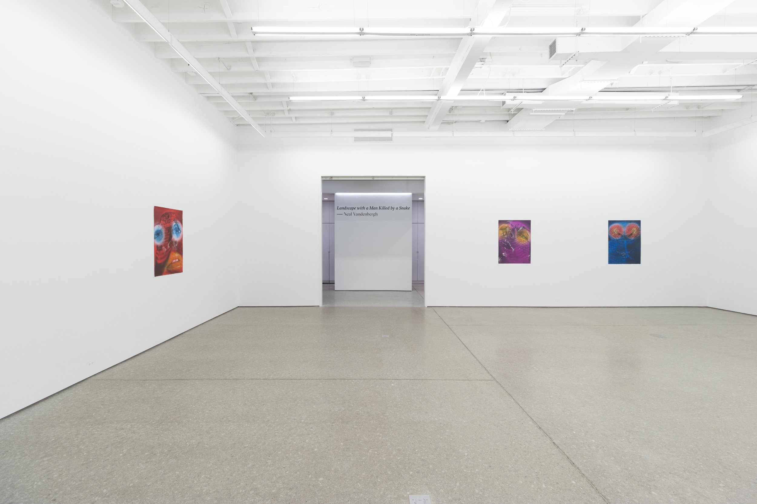 installation view