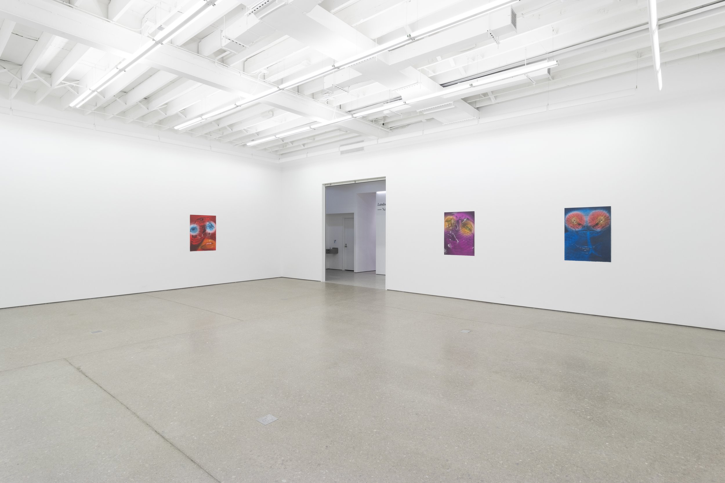 installation view