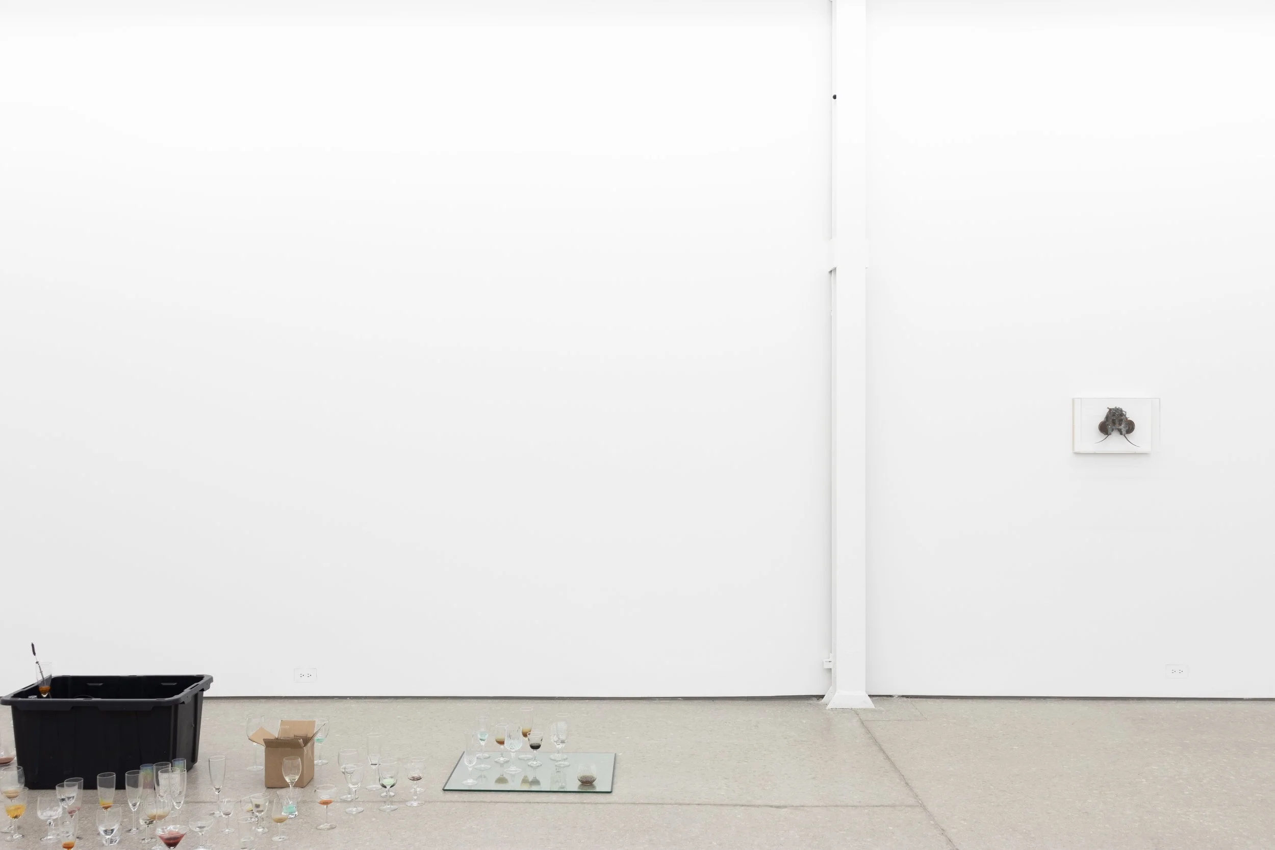 installation view