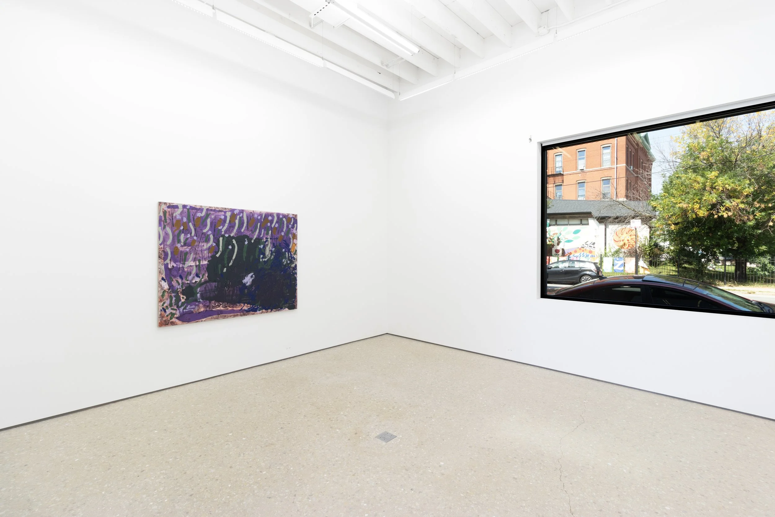 installation view