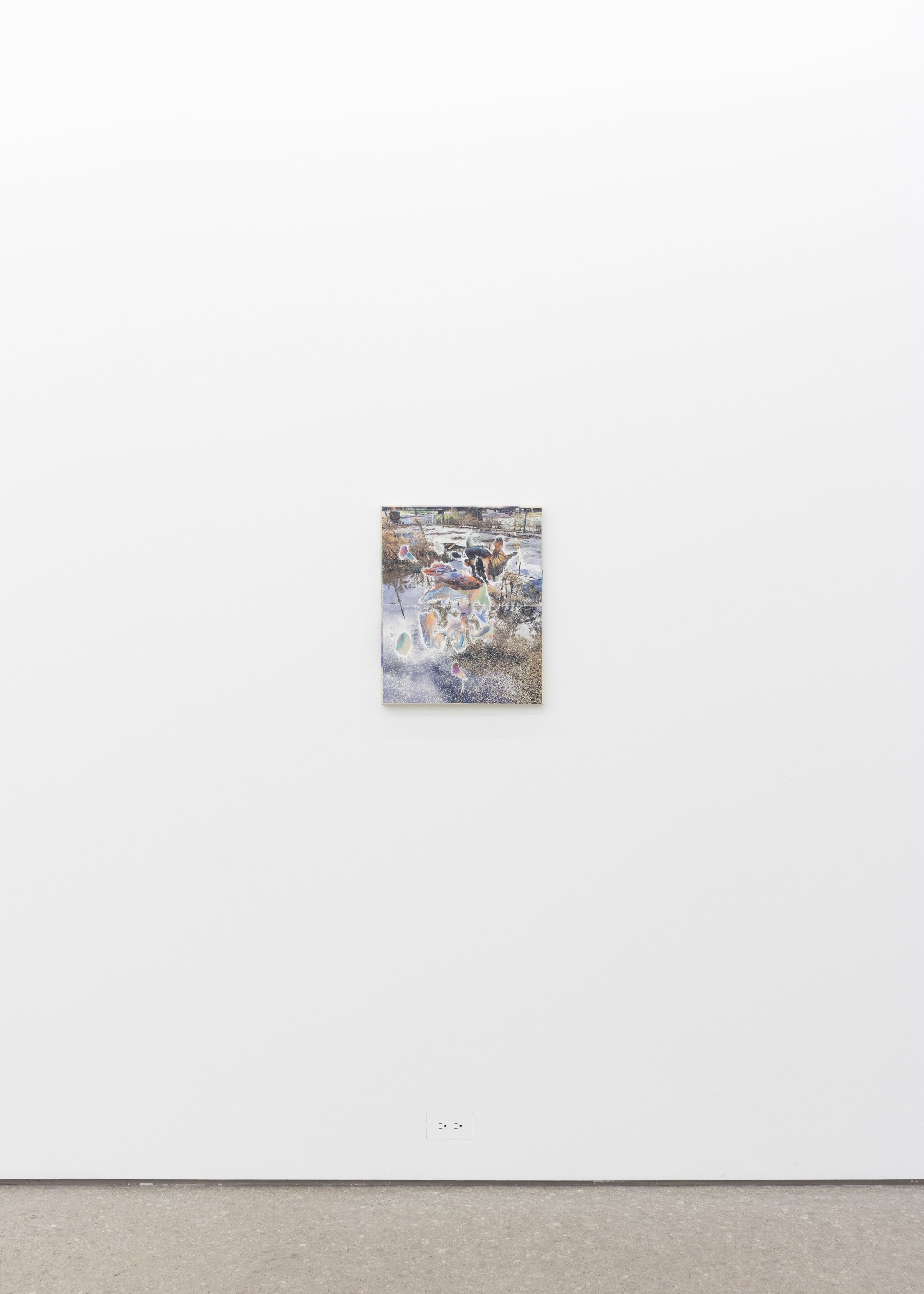  installation view of  Suspended Animation  