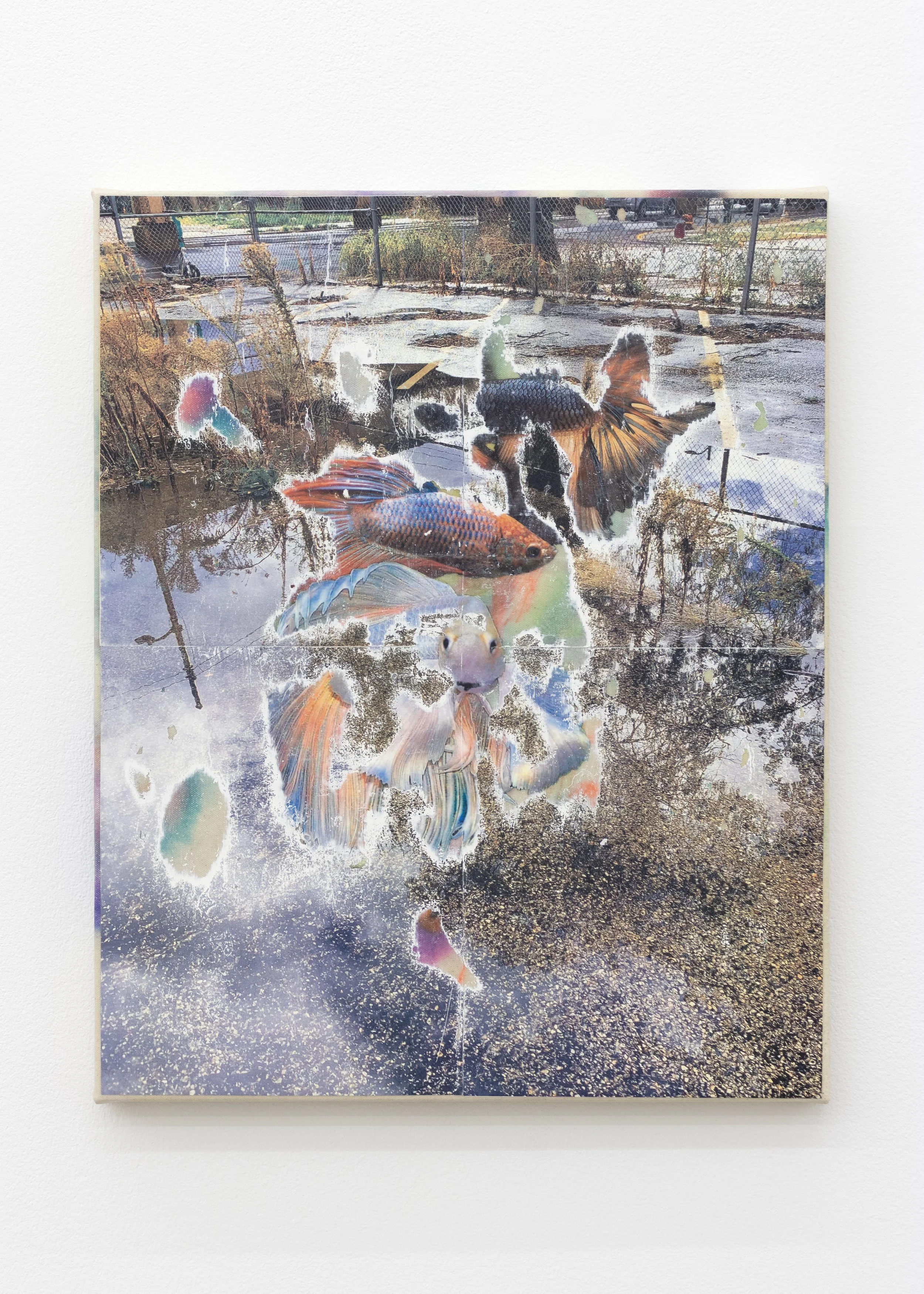  Leonardo Kaplan   Suspended Animation , 2025  toner transfer and marker on canvas  20h x 16w in 