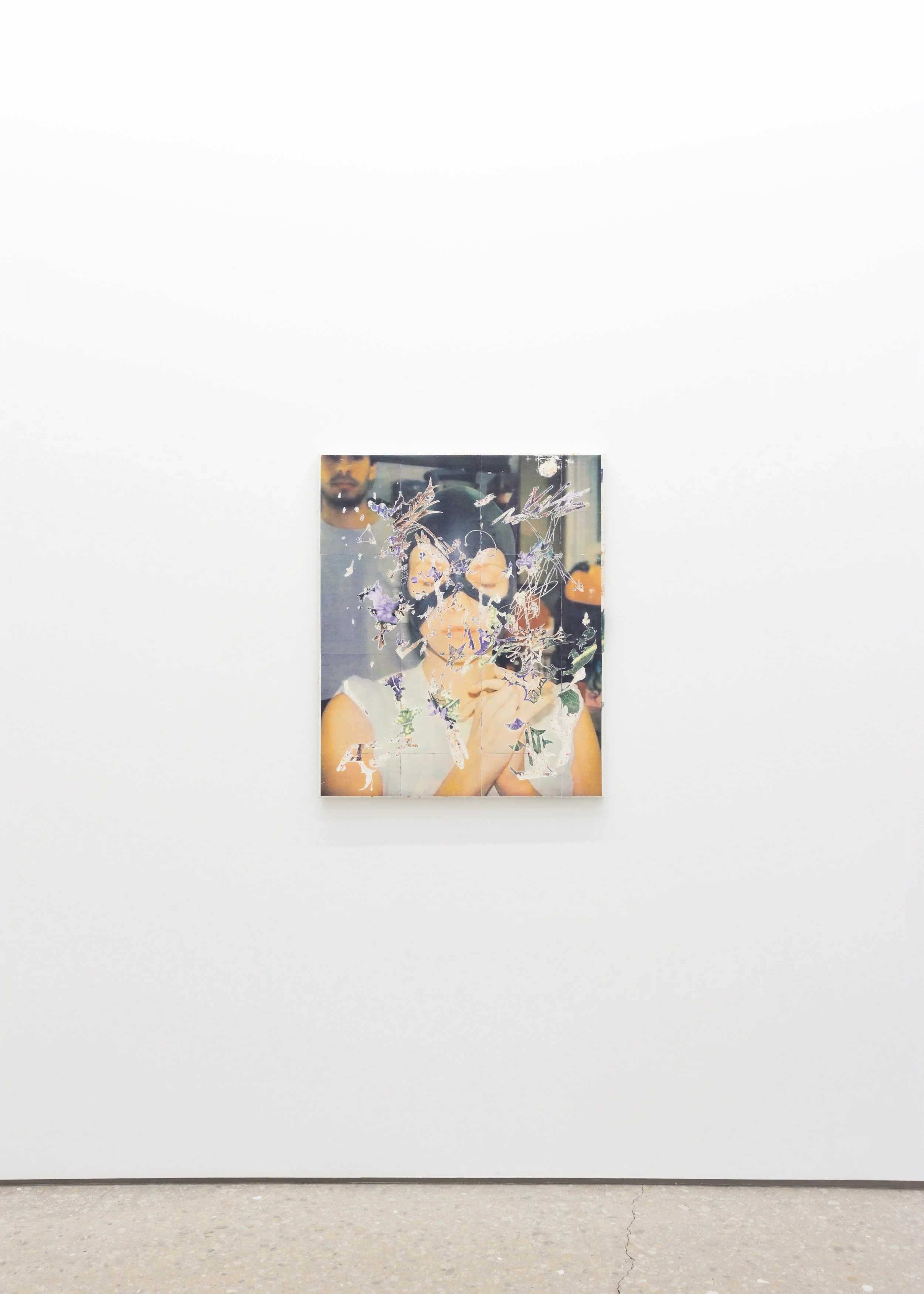  installation view of  Anti Trust  