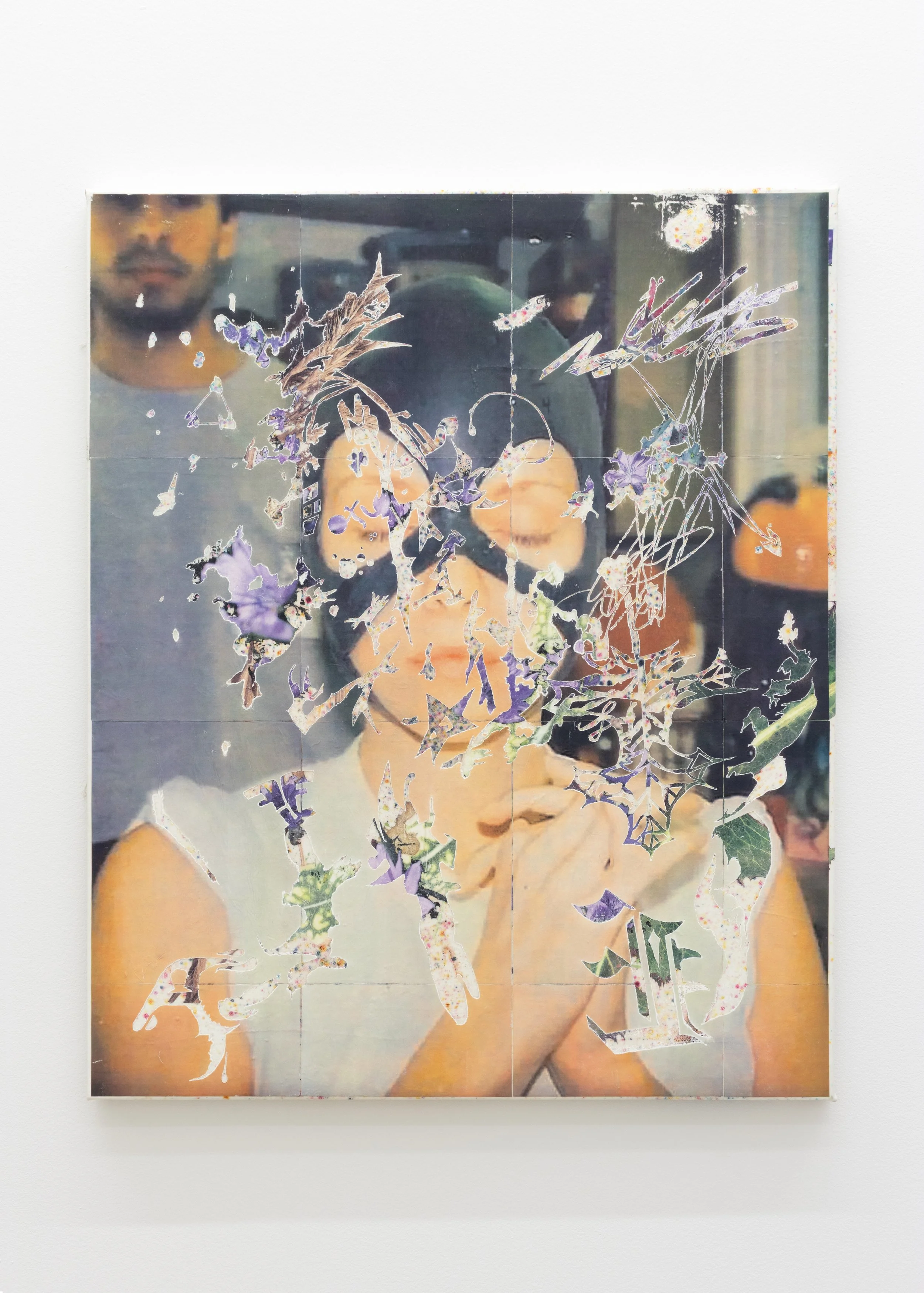  Leonardo Kaplan   Anti Trust , 2025  acrylic toner transfer, and dye on canvas  34h x 28w in 