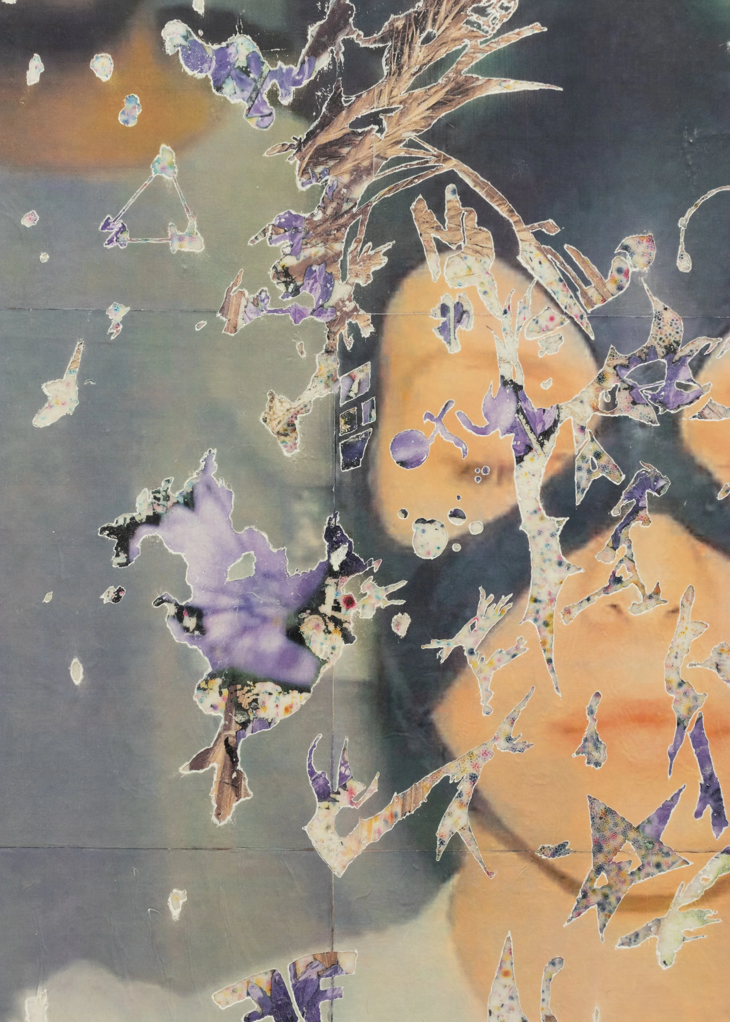  detail of  Anti Trust  
