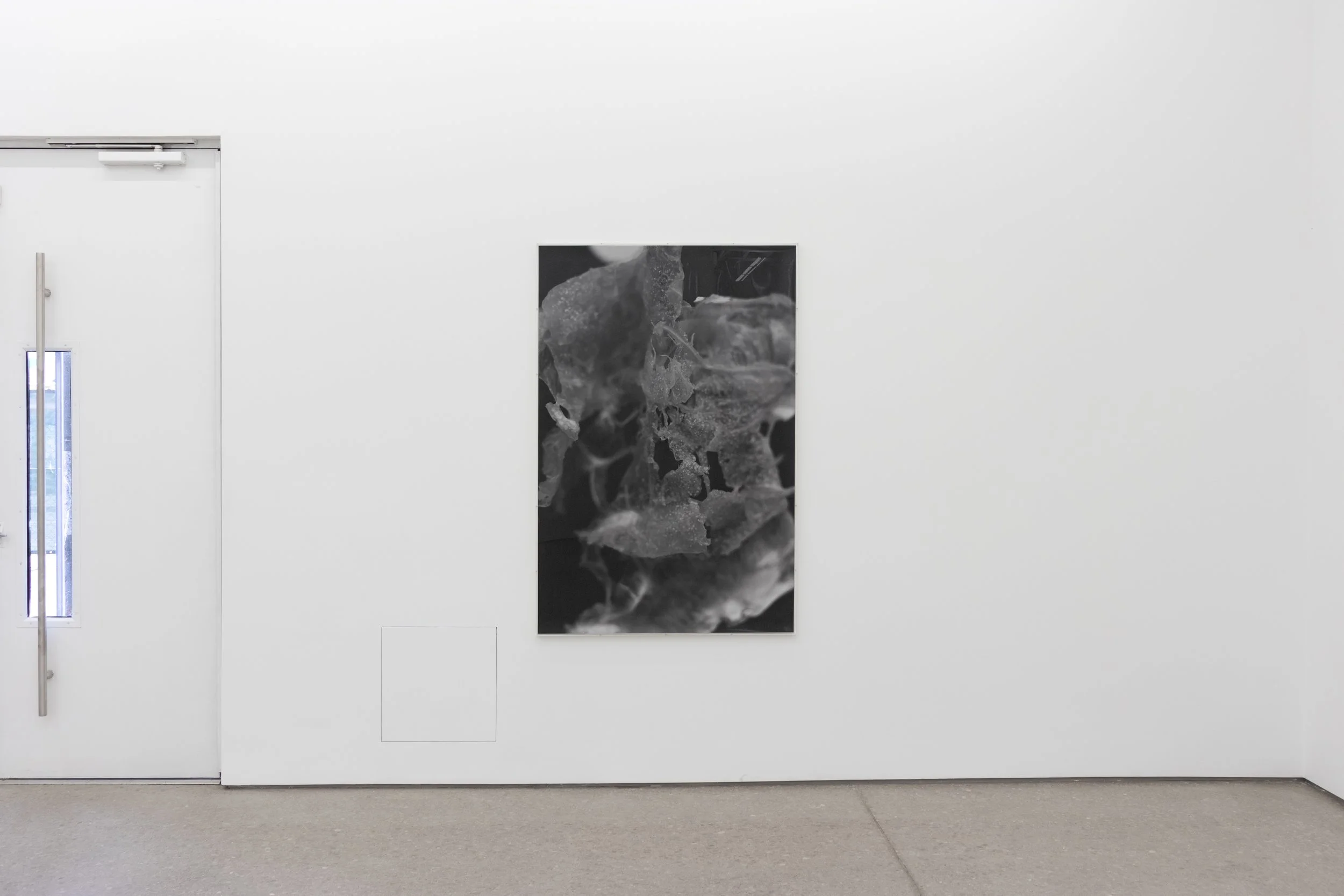  installation view of  Untitled  
