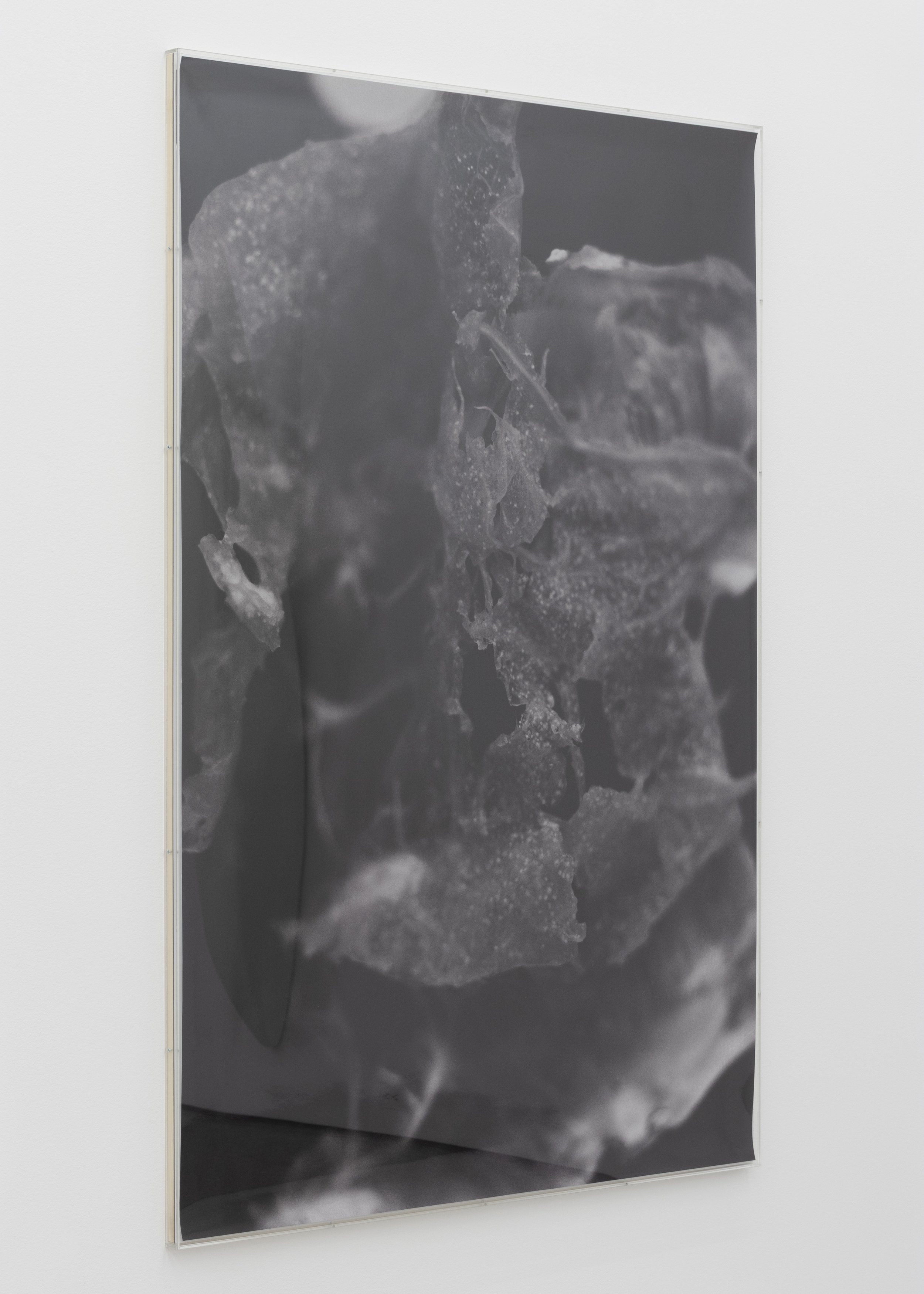  alternate view of  Untitled  