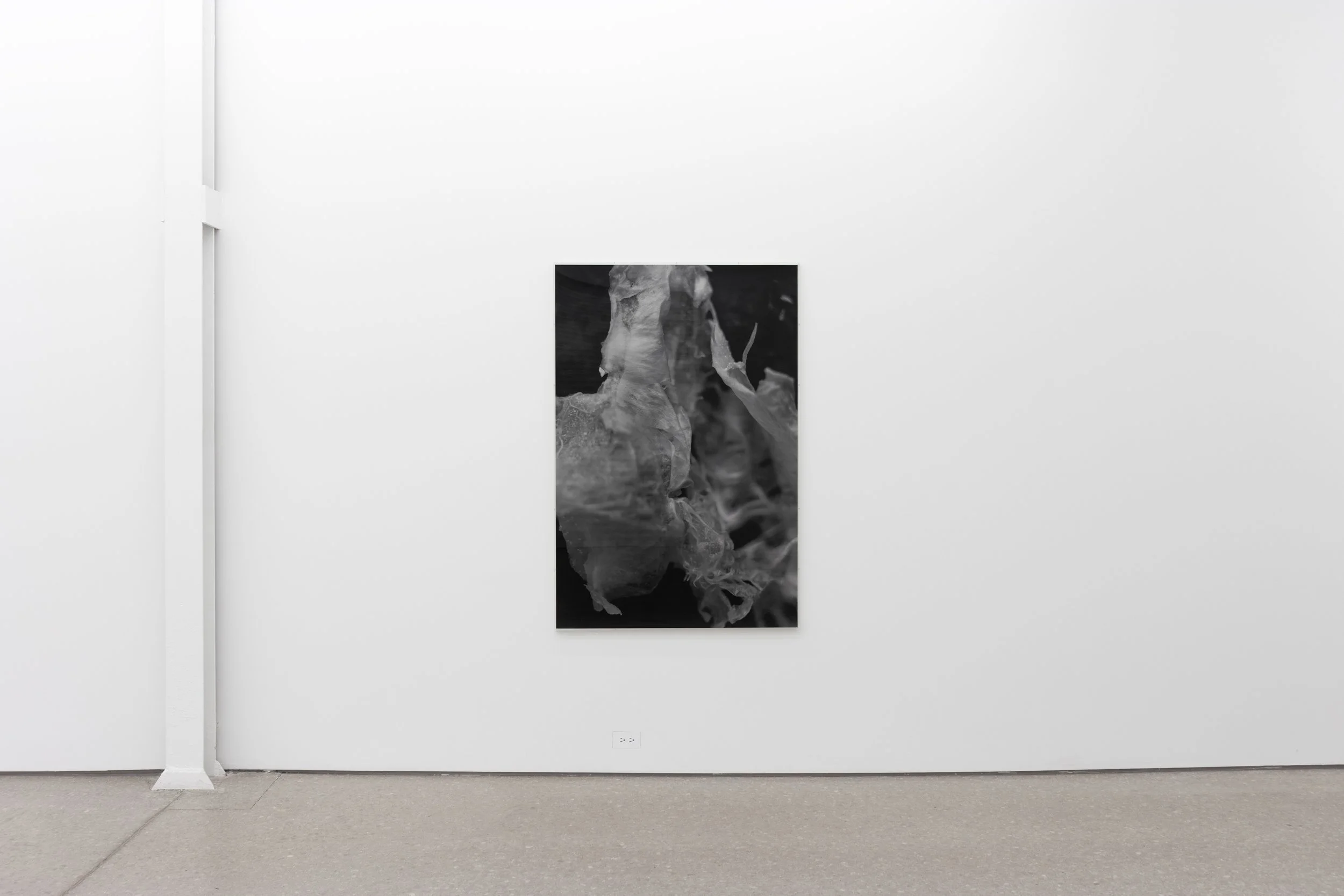  installation view of  Untitled  