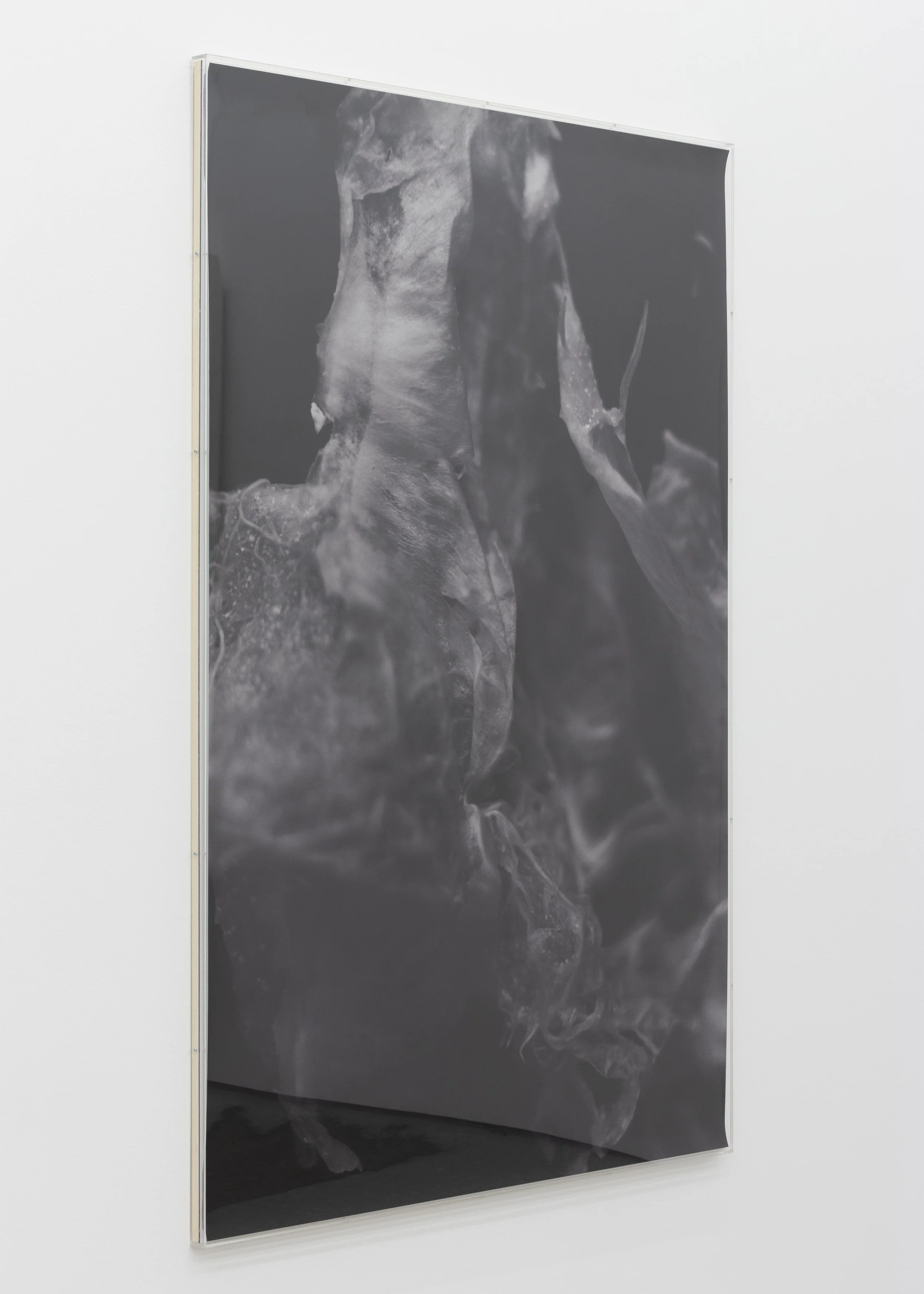  alternate view of  Untitled  