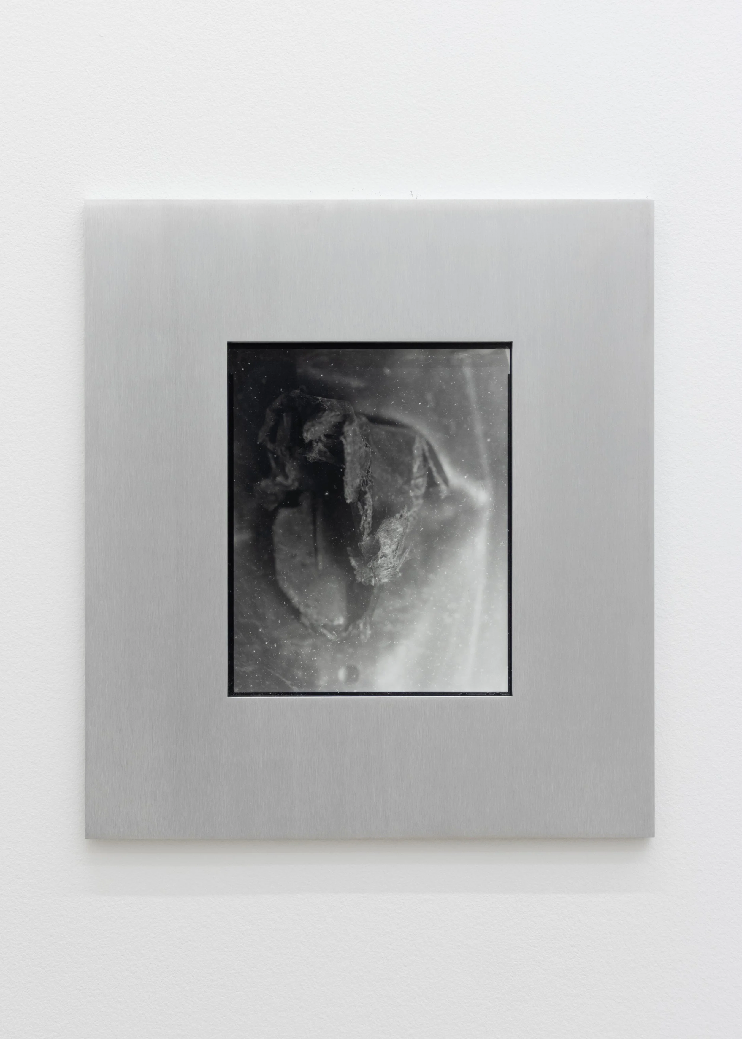  José Taymani   Untitled , 2026  silver gelatin print and milled aluminum  18h x 16w in 