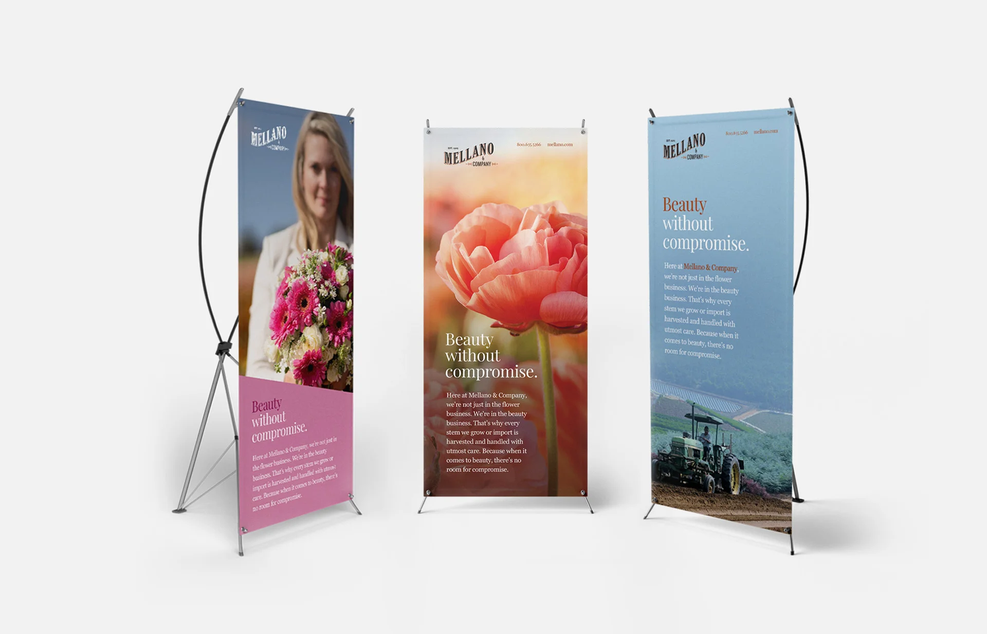 Banners-2.jpg