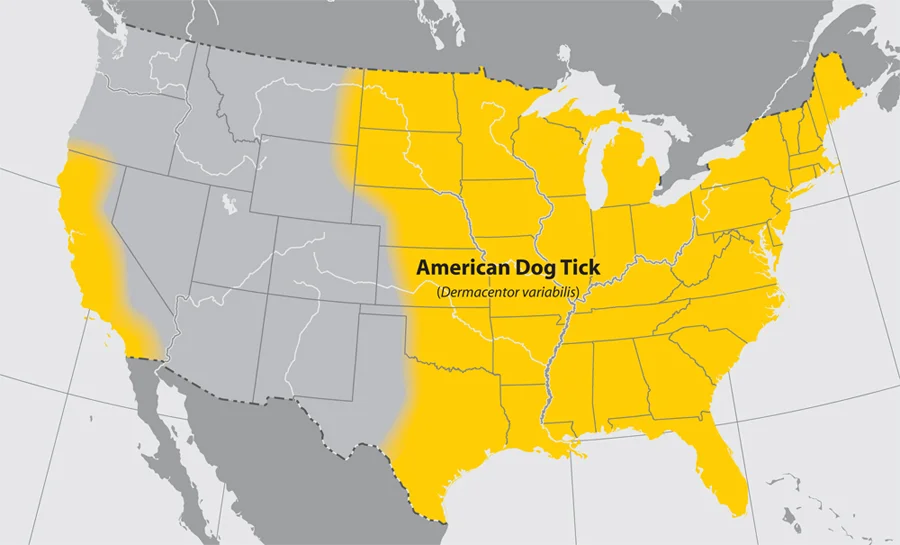 American dog tick distribution (CDC).