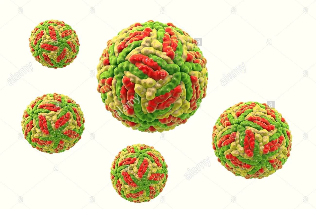 Computer illustration of Powassan virus particles.