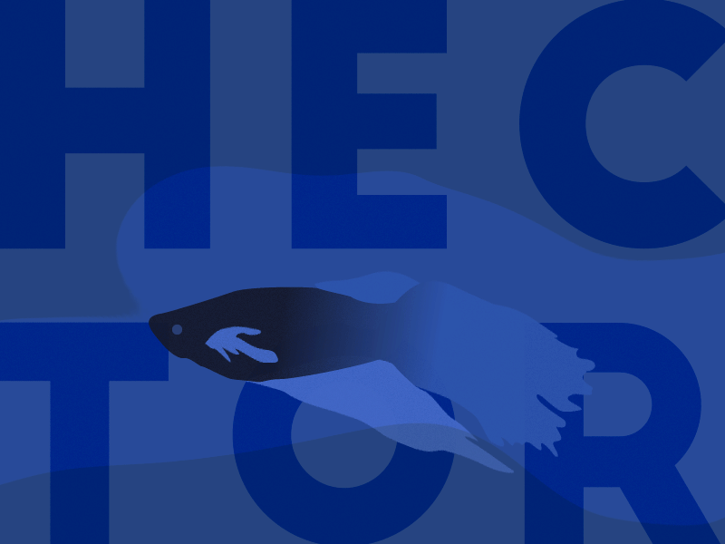hector.gif