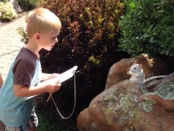 A child enjoys a Kid’s Corner activity in the garden.