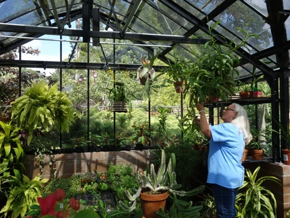 Two swamp coolers provide evaporative cooling. When temperatures get too high, roof vents open automatically.