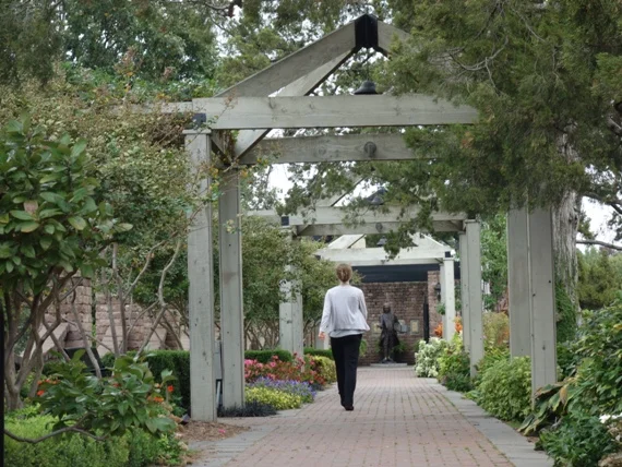 Repetition also takes place in the beams, pergolas, and benches that lead the eye to the bronze statue of Carl Linnaeus, the “Father of Botany”.