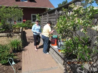 Linnaeus Gardeners take on maintenance chores to get the Fountain Garden ready for spring. The trellis fence leads visitors into the Herb Garden.