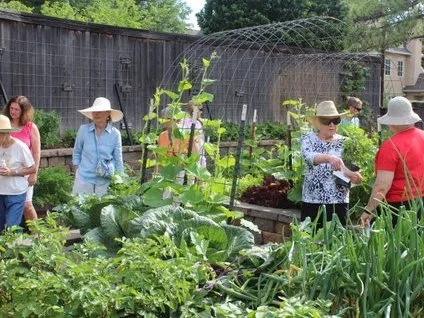 The Vegetable Garden demonstrates how to achieve maximum design impact and vegetable production in small urban spaces.