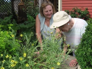Next door, our Herb Garden appeals to all five senses. A visitor enjoys the heady scent of the Chocolate Flower.