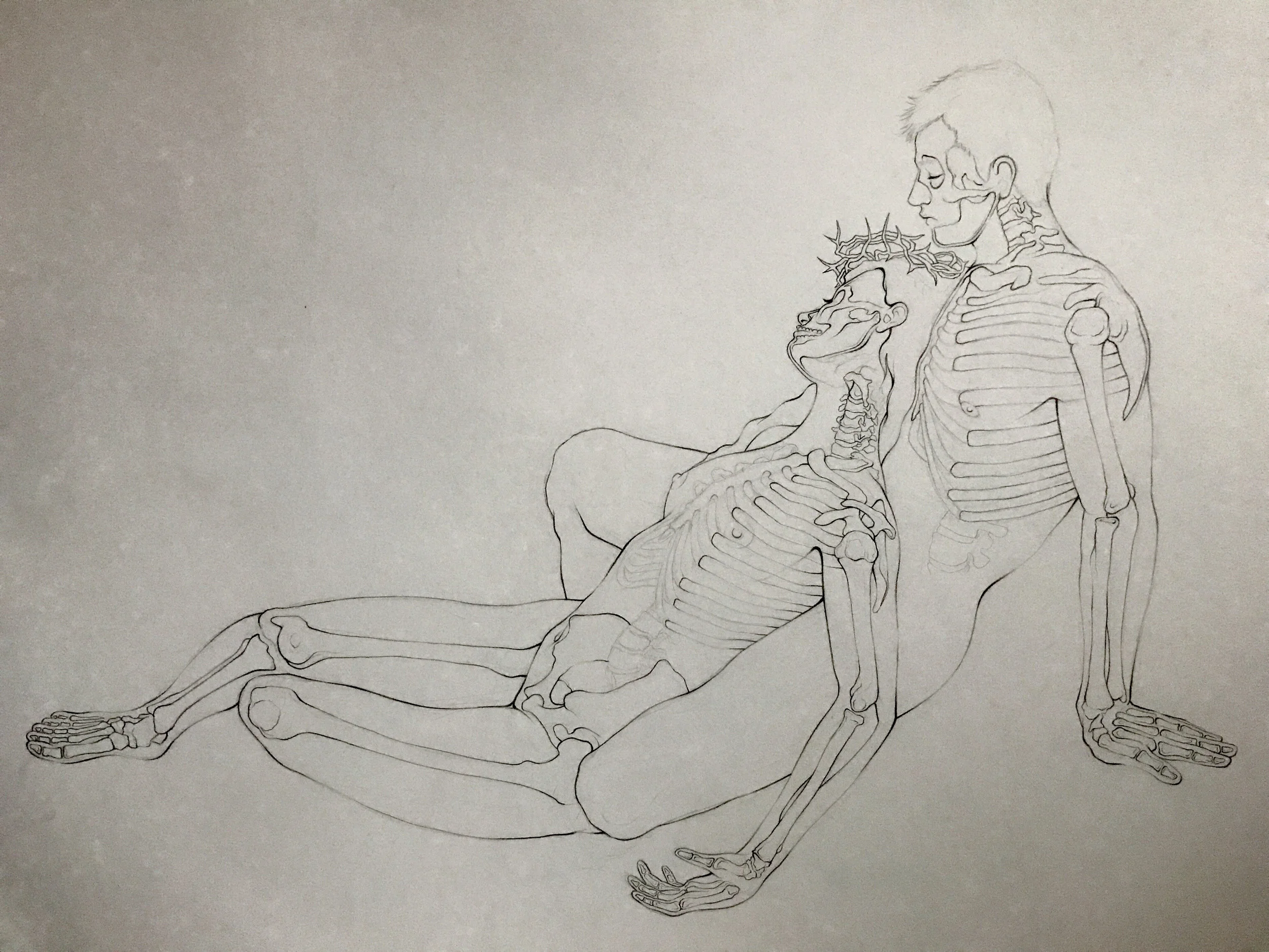 Bone Structure Study