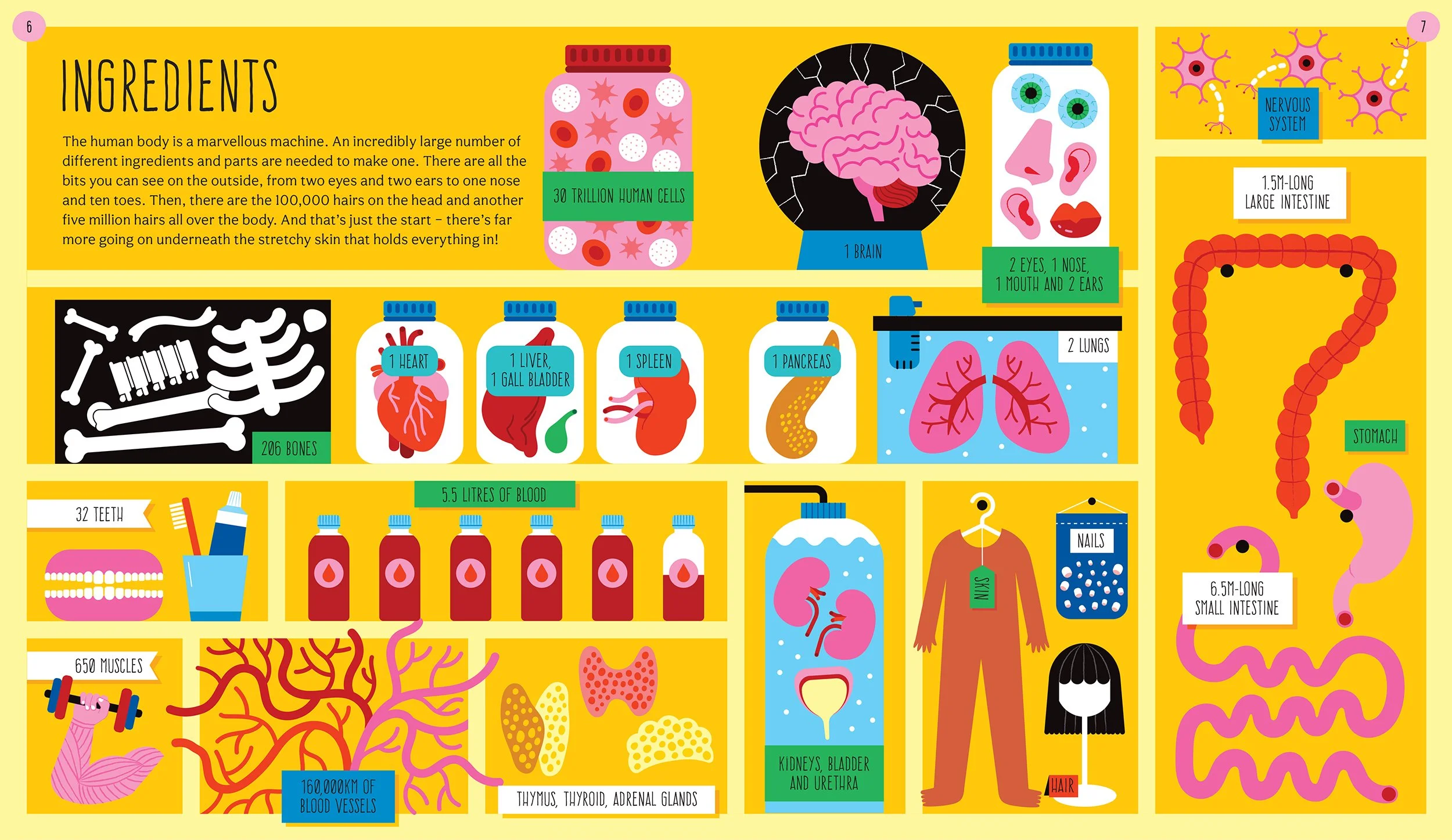 Vanja Kragulj_How to Make Human_01.jpg