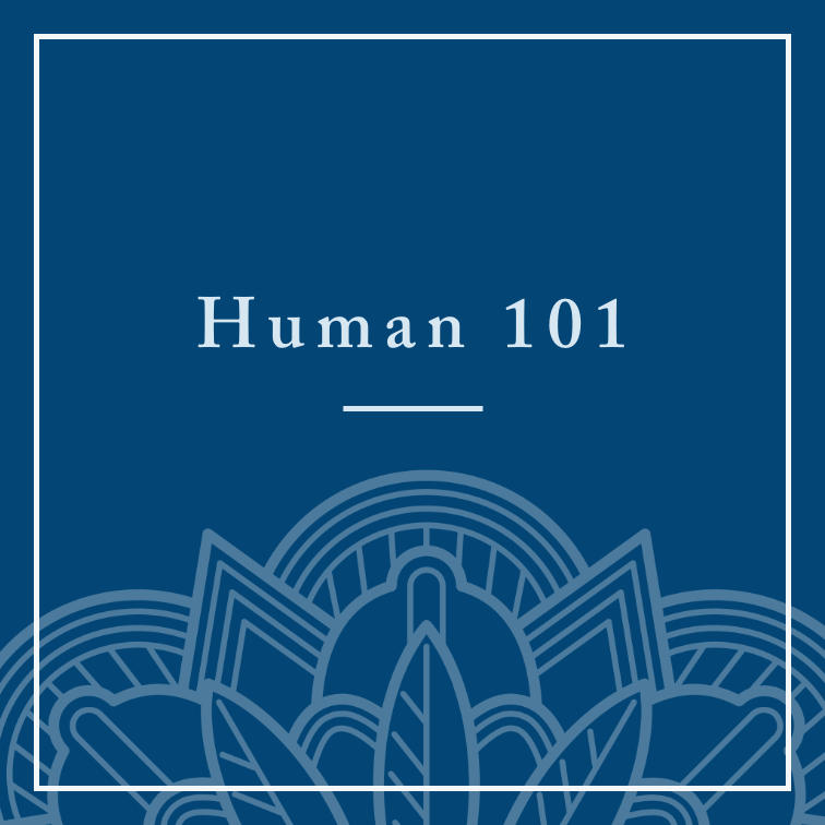 Human 101.png