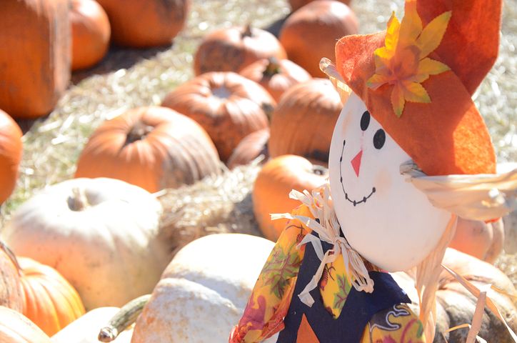 Hill Country Bethel FALL FEST
