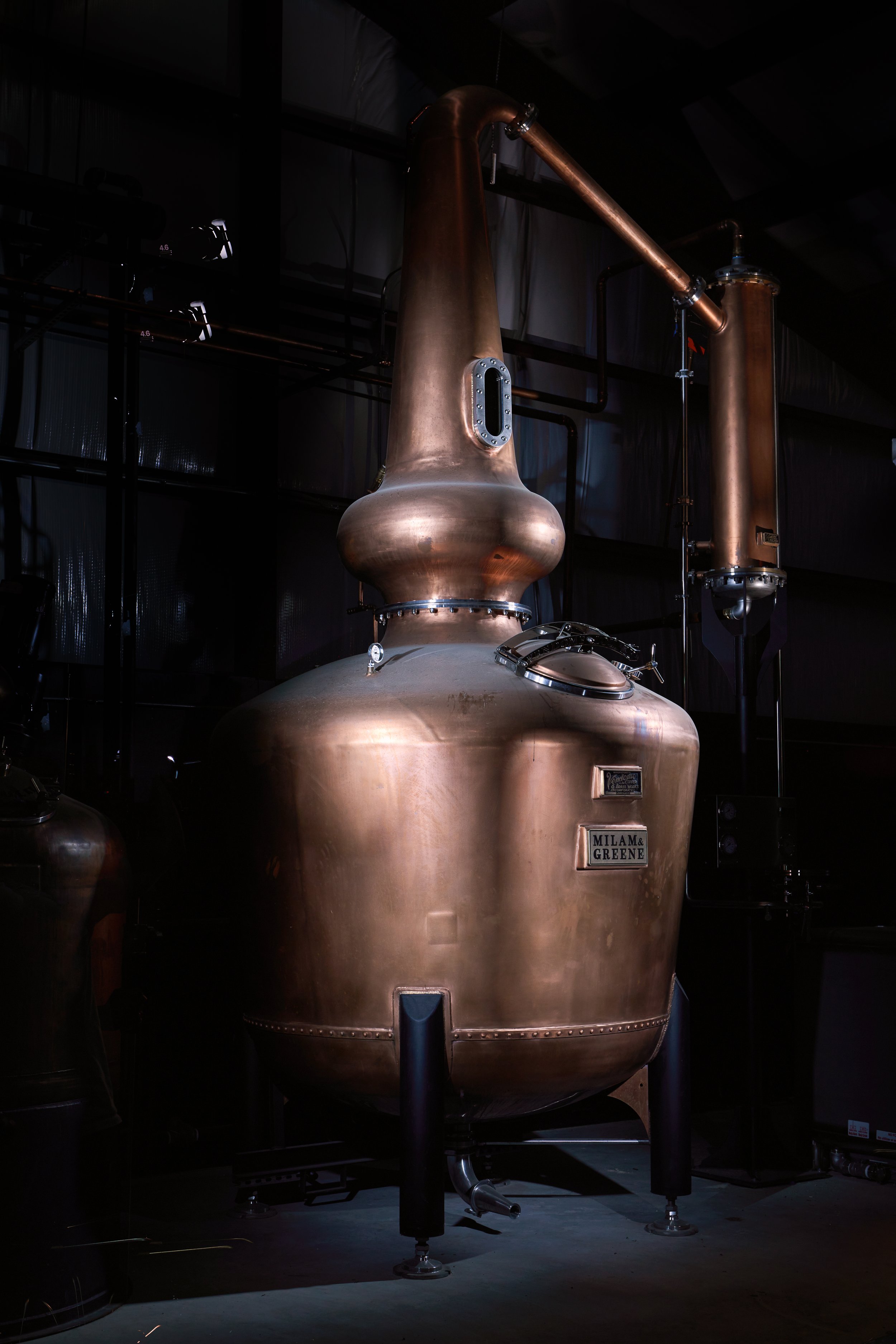 BarbaraAnn Vendome pot still portrait.jpg