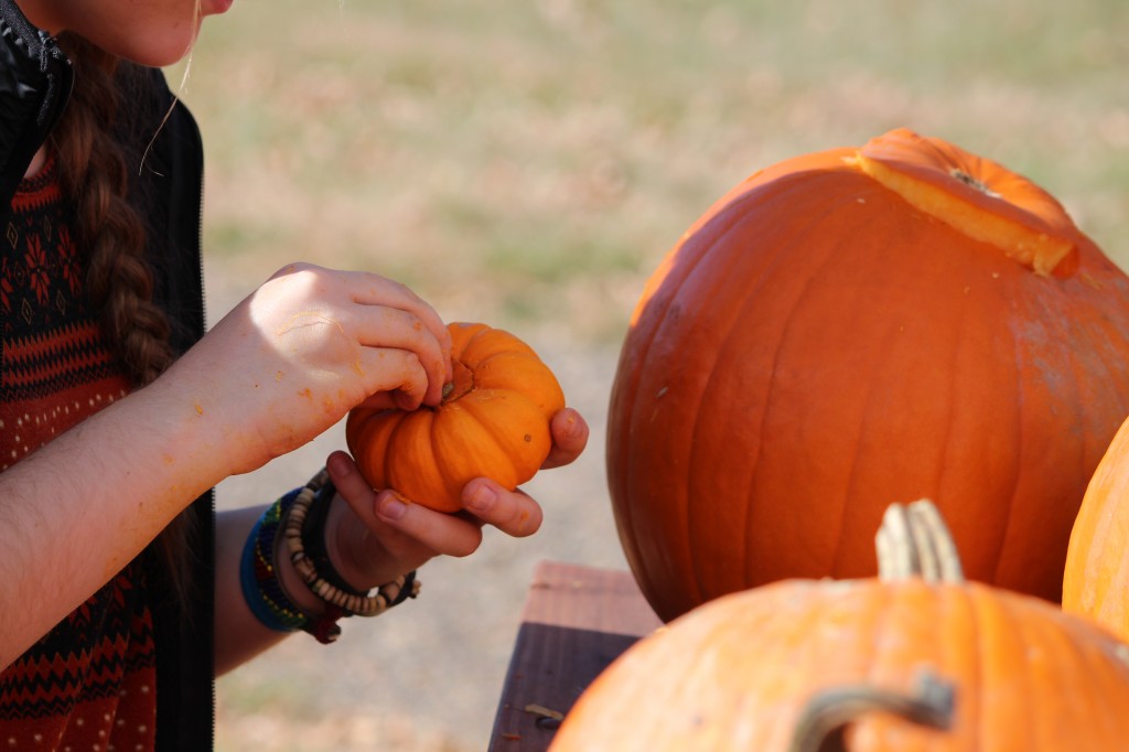 pumkins.jpg