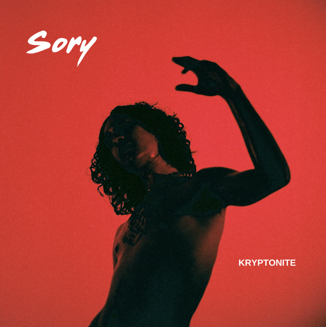 SORY COVER.png