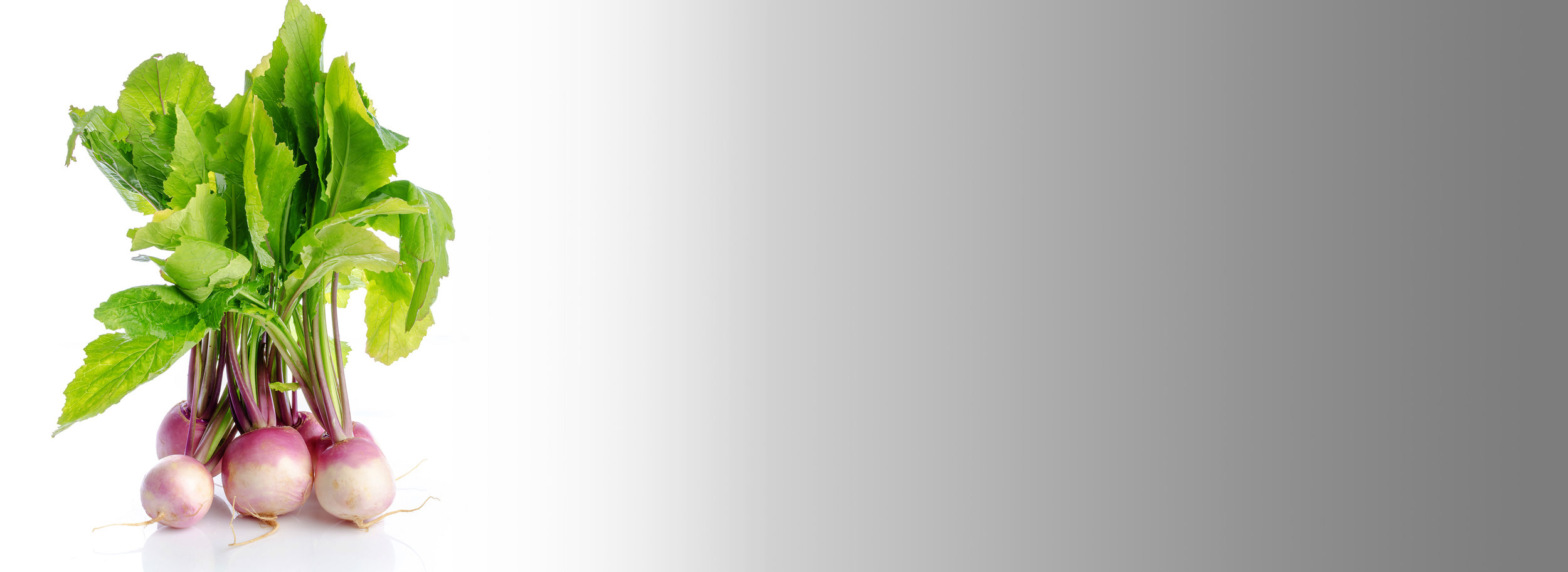 prairie-donair-roots-mission-story.jpg