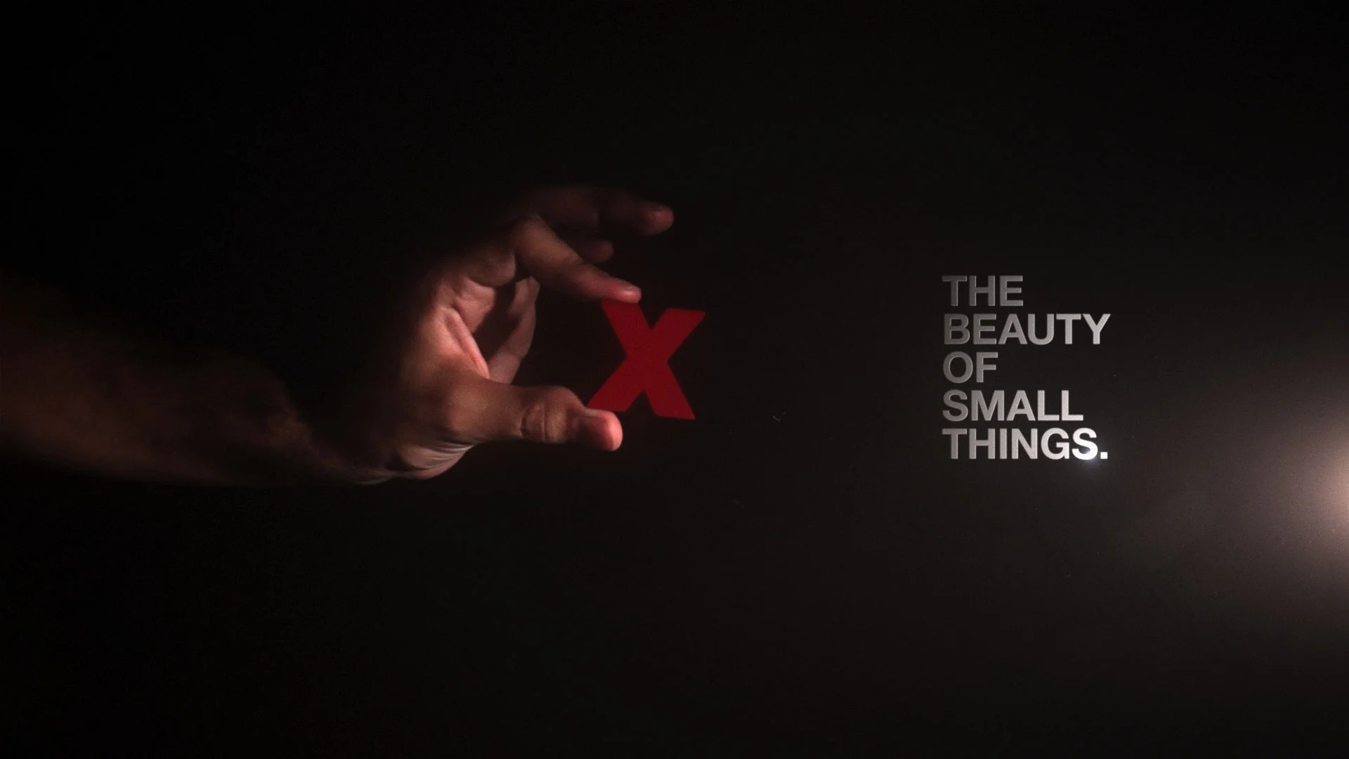TEDxDUBAI THE BEAUTY OF SMALL THINGS