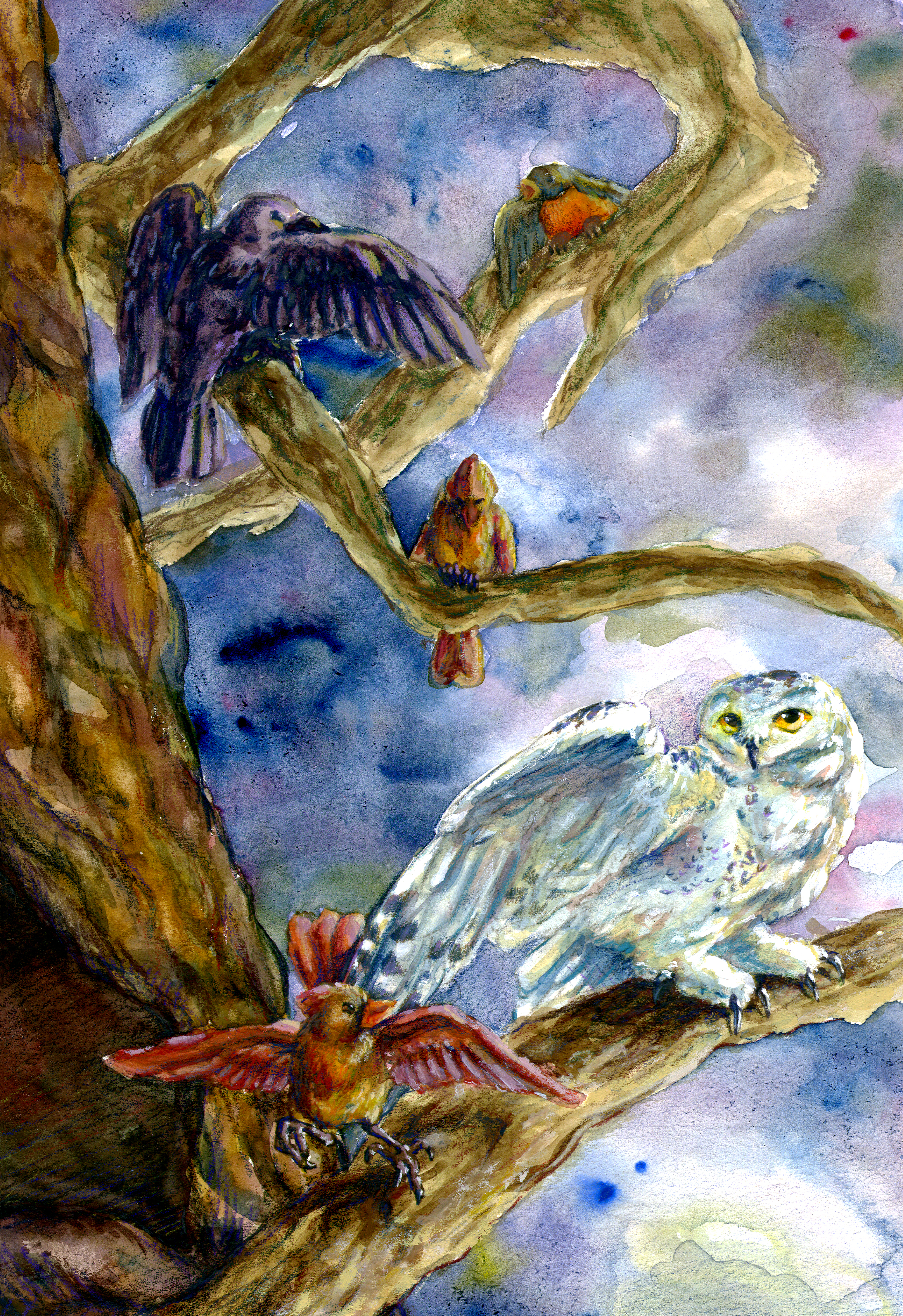 Bird Narrative: Chapter 2