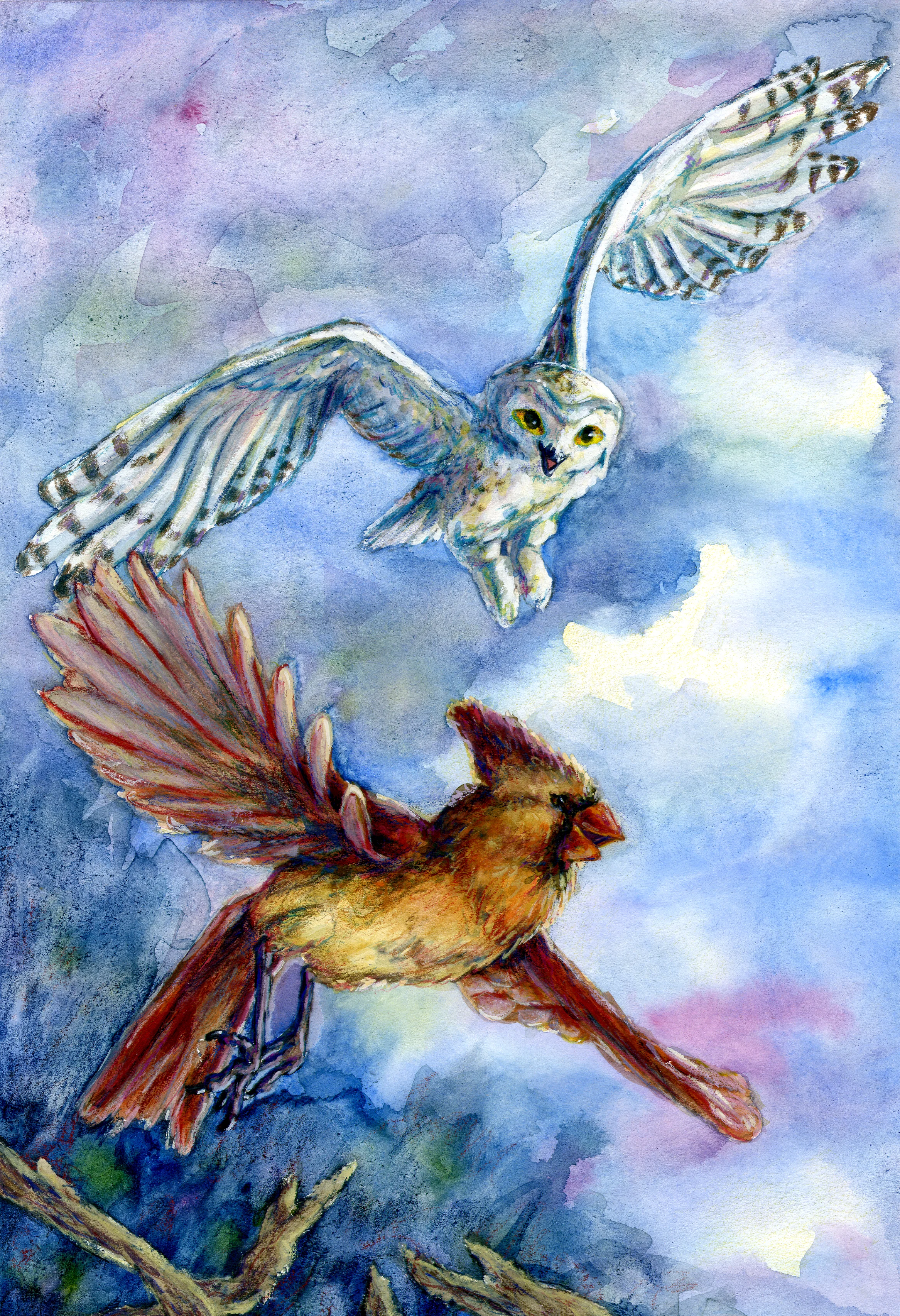 Bird Narrative: Chapter 3