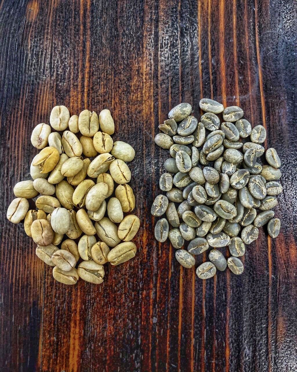 How I became a coffee producer.