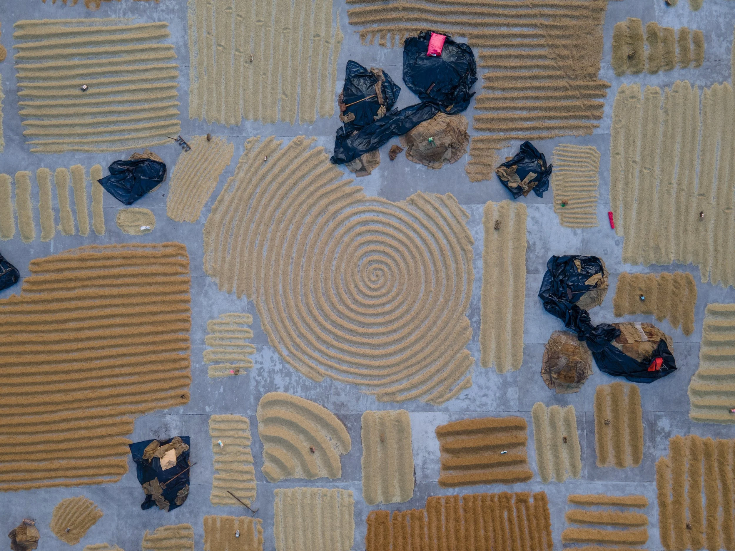 DJI_0244.jpg