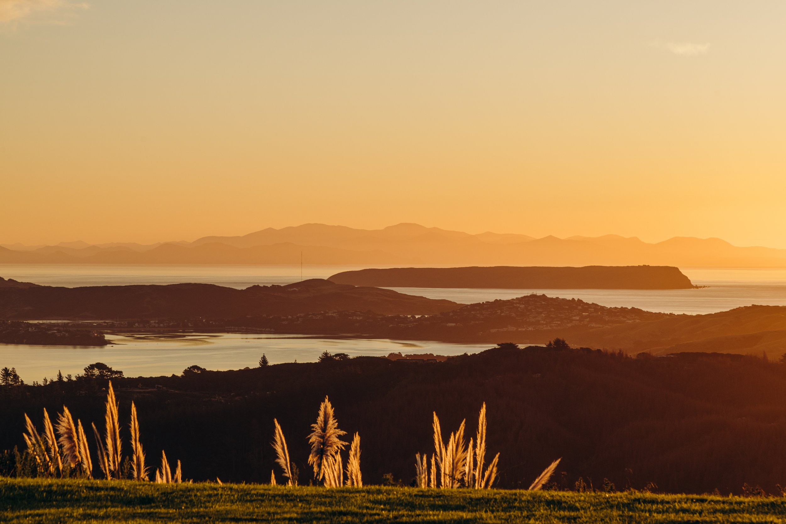 Evening View1.jpg