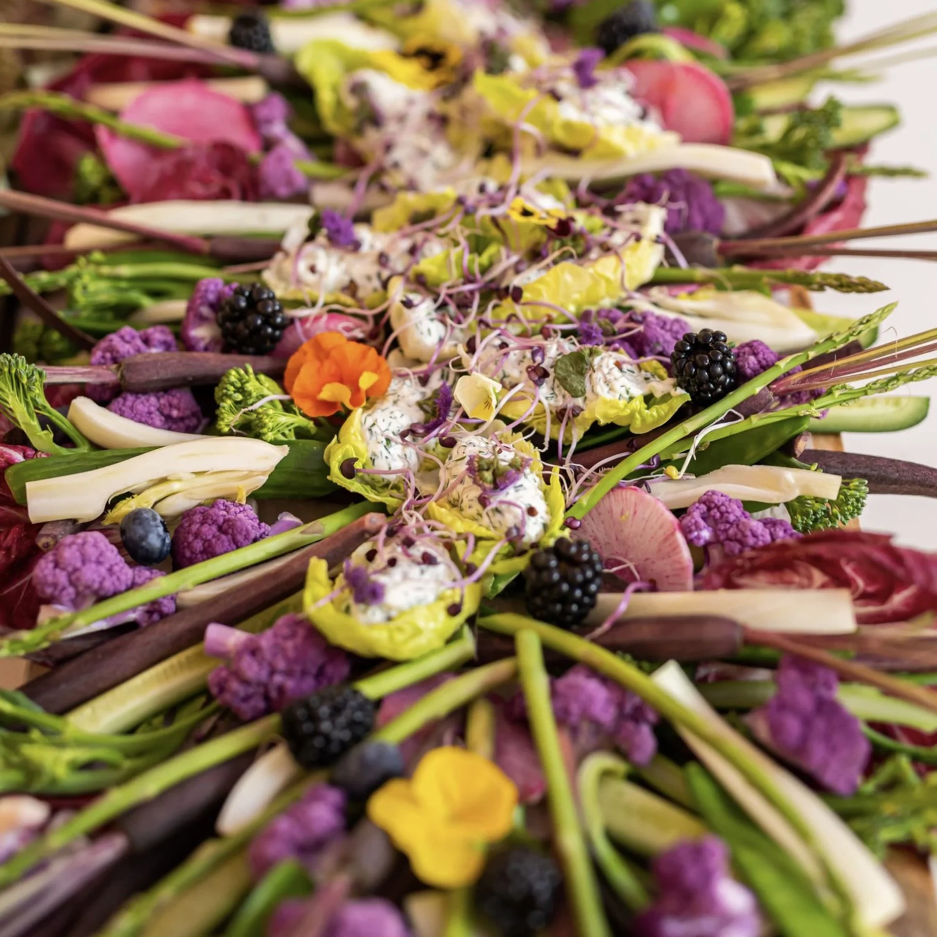 Bunter Blumenstrauß mit verschiedenen Blüten, Beeren und Blättern